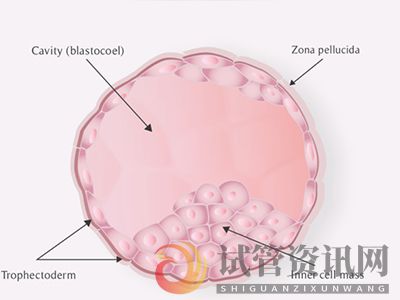 天津做试管婴儿需要多久影响上班吗(图1)