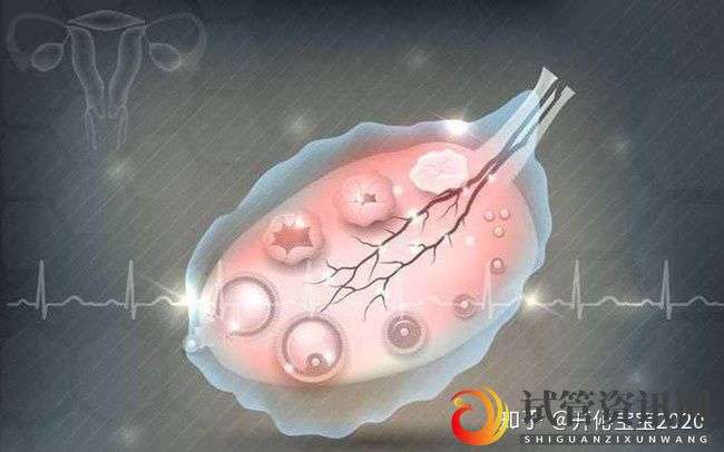 成都做供卵试管成功率高吗卵巢早衰无法生育怎么办(图1)