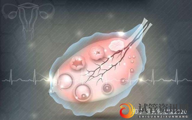 成都做供卵试管成功率高吗卵巢早衰无法生育怎么办(图2)