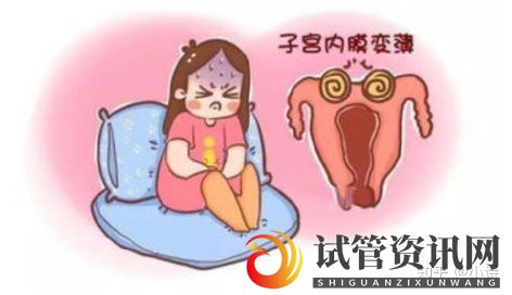 成都试管成功率高的女性都有这个特点(图3)