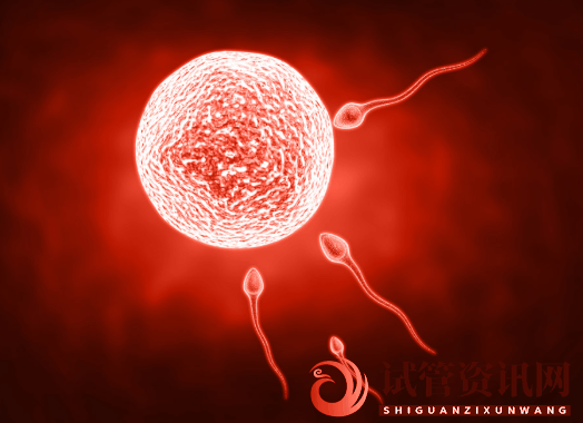 成都amh值低与试管成功率，47岁做试管成功率多少(图1)