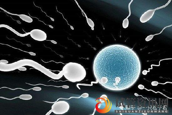 单身做供精试管婴儿有多贵3步走花费一次搞定(图4)