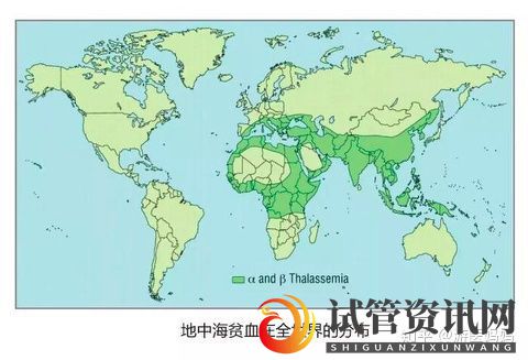 地中海贫血怎么办泰国第三代试管避免子代遗传(图4)