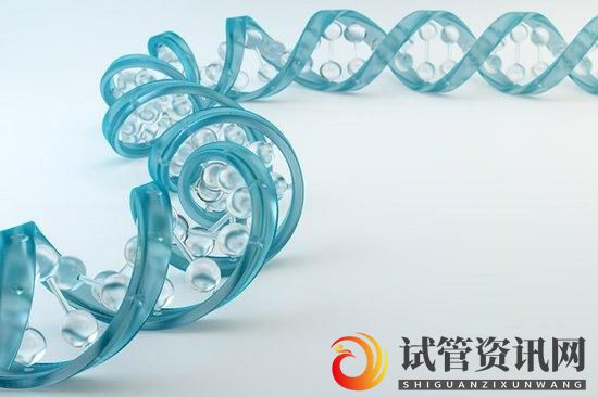 试管婴儿检查性激素六项要多少钱？(图2)