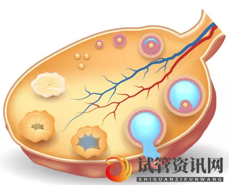 前期调理对试管婴儿促排到底有多重要？(图1)