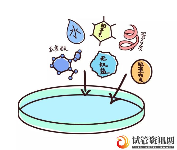 试管宝宝们的第一个家(图10)