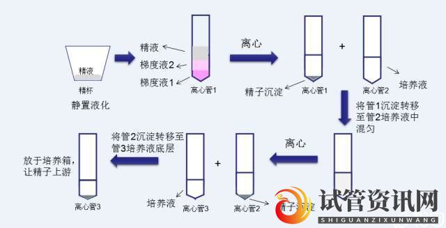 艾滋病试管生育技术之洗精(图1)