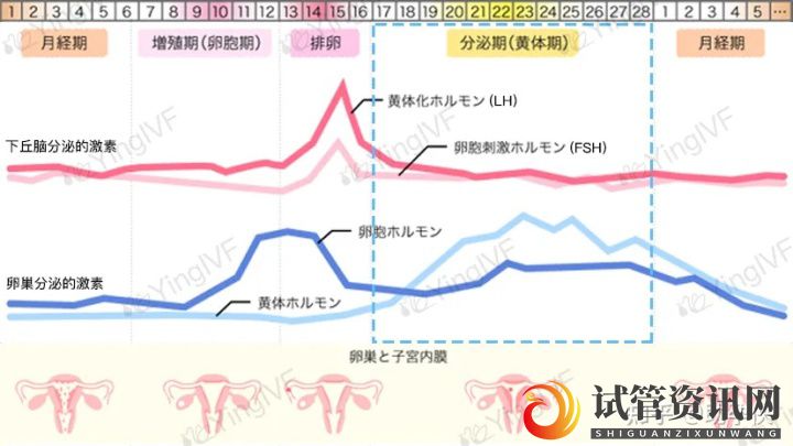 试管婴儿促排卵,4类药物和6种方案总结(图7)