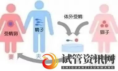 什么是供卵试管婴儿_那些人可以做(图1)