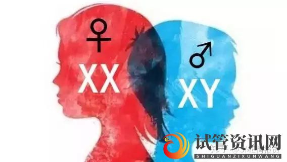 生男生女究竟由谁决定_远不止“X生女,Y生男”(图2)