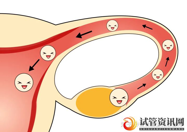 促排时需要注意哪些事项_这些你必须要知道(图5)