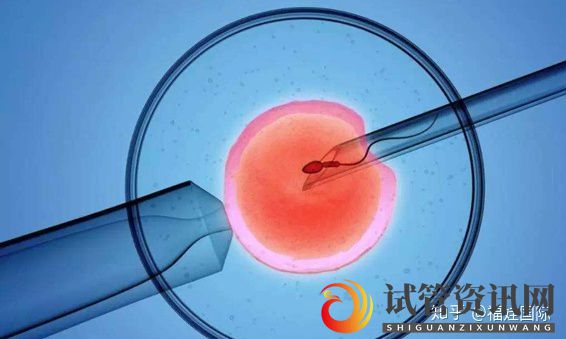 揭秘取卵全流程(附图),腹部穿刺术只需10-20分钟(图2)