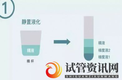 什么是HIV洗精术,HIV洗精术的作用是什么(图4)