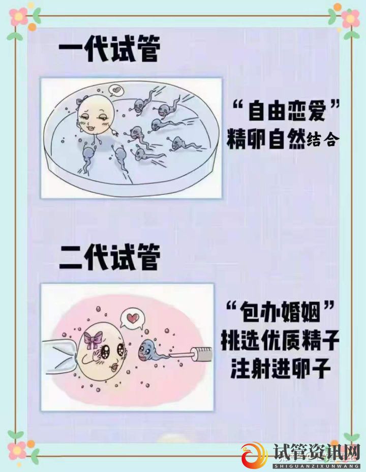 什么是囊胚,为什么越来越多人选择养囊(图1)