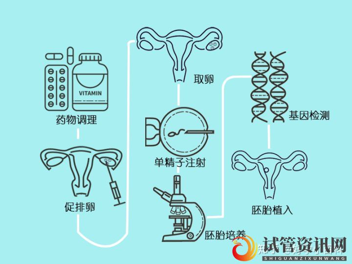 什么是三代试管婴儿_第三代试管婴儿成功率高(图6)